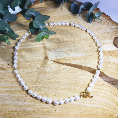 skarb muszli white (choker) skarb muszli white (choker)